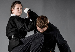 Warfield Martial Arts