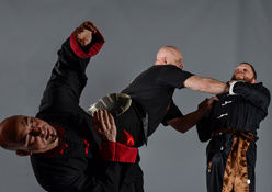 Warfield Martial Arts